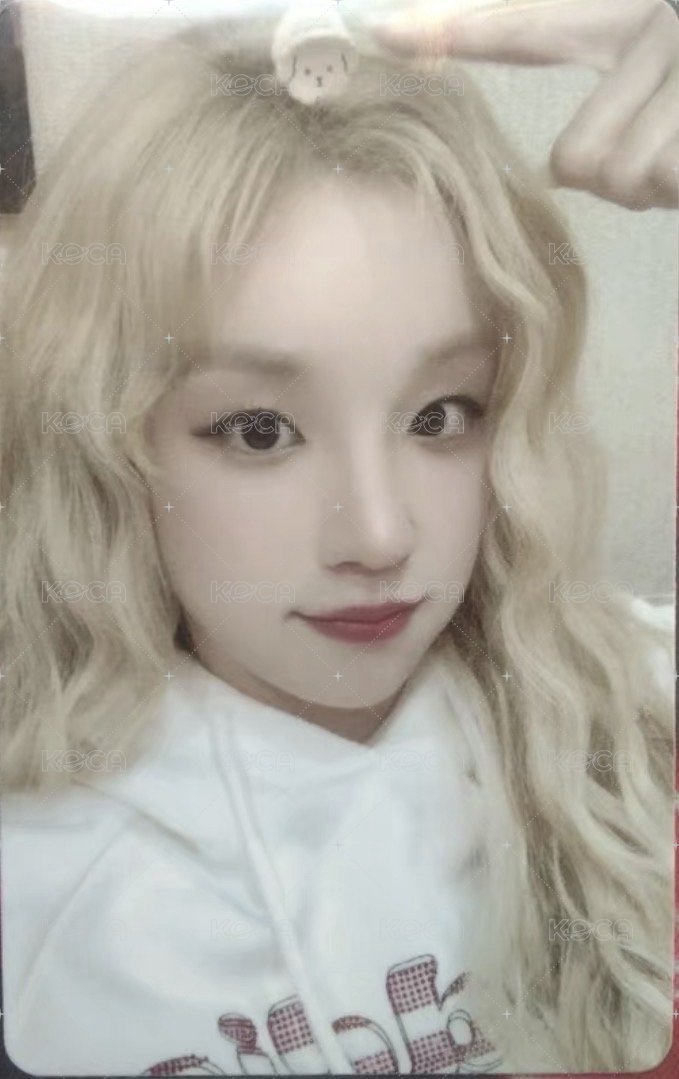 We are fanme 特典卡 小狗夾子中背 正面