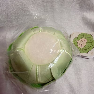 全新日本帶回🇯🇵✈️吉伊卡哇 高麗菜 烏薩奇 寶寶 兔兔