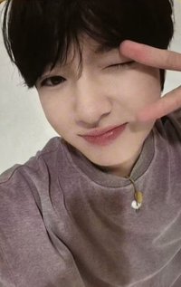 Steady QQ音樂 星光卡 四星卡