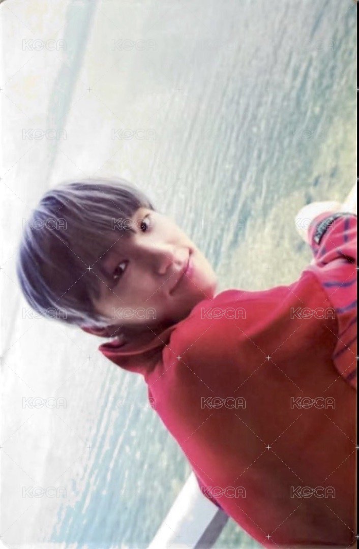 正二 專輯卡 正規二 綠版 李燦DINO 正面