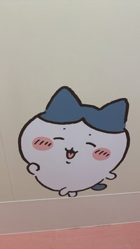 小貓