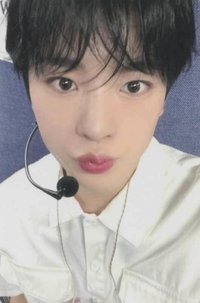 Songbird k4 線下 簽售卡 