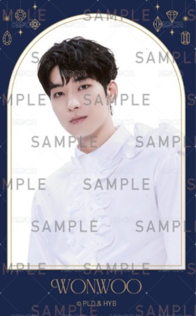 2024博物館 周邊卡 透卡ver.A 正面