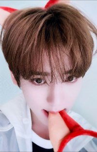 迷四 am 1.0 特典卡 狐狸髮箍 ver.