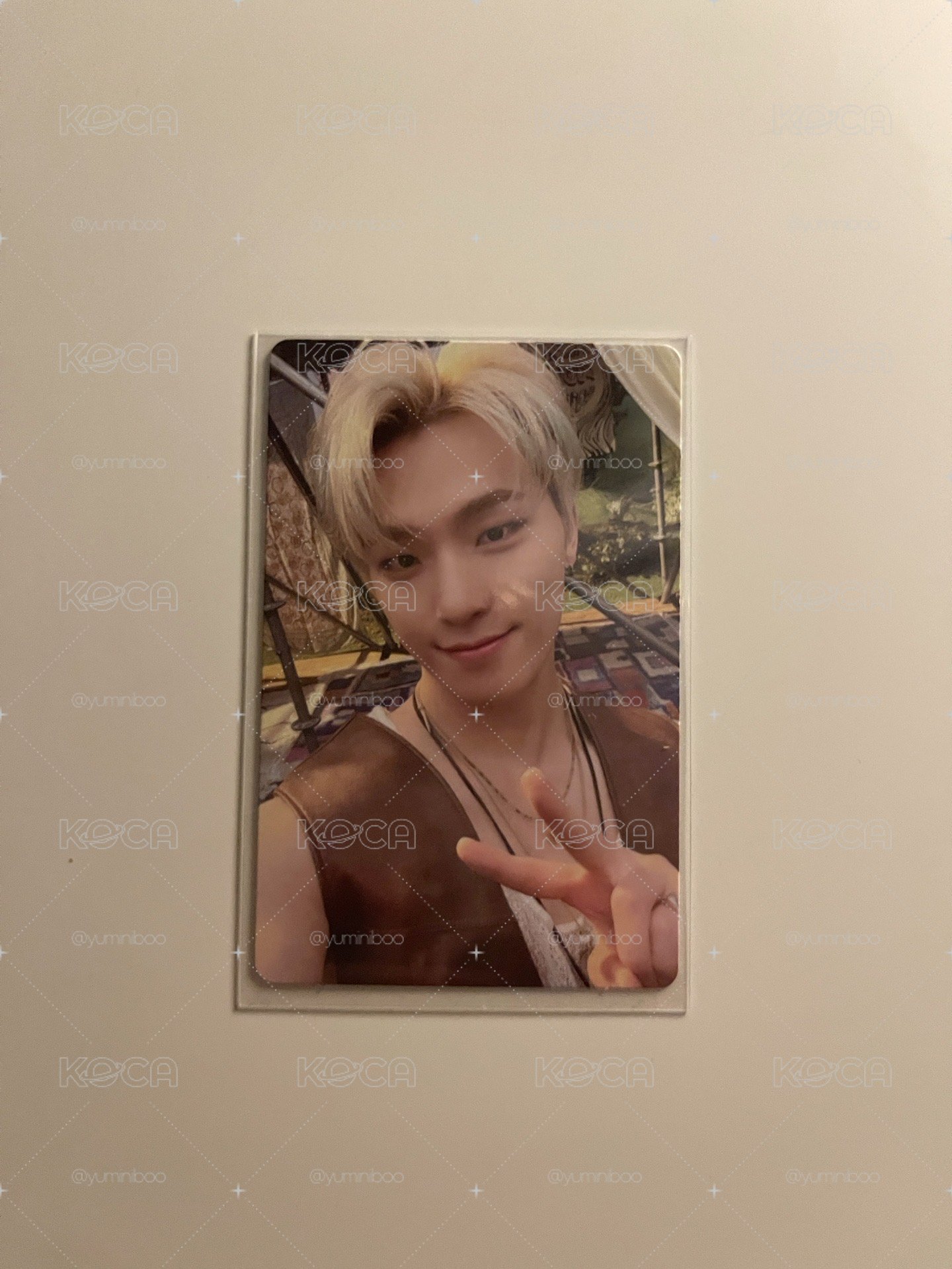 SEVENTEEN 李燦 DINO 迷十一專輯卡 可單出