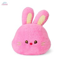 LINE FRIENDS快閃 抱枕 