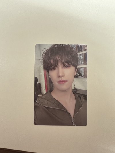 SVT 各專輯裡的小卡們