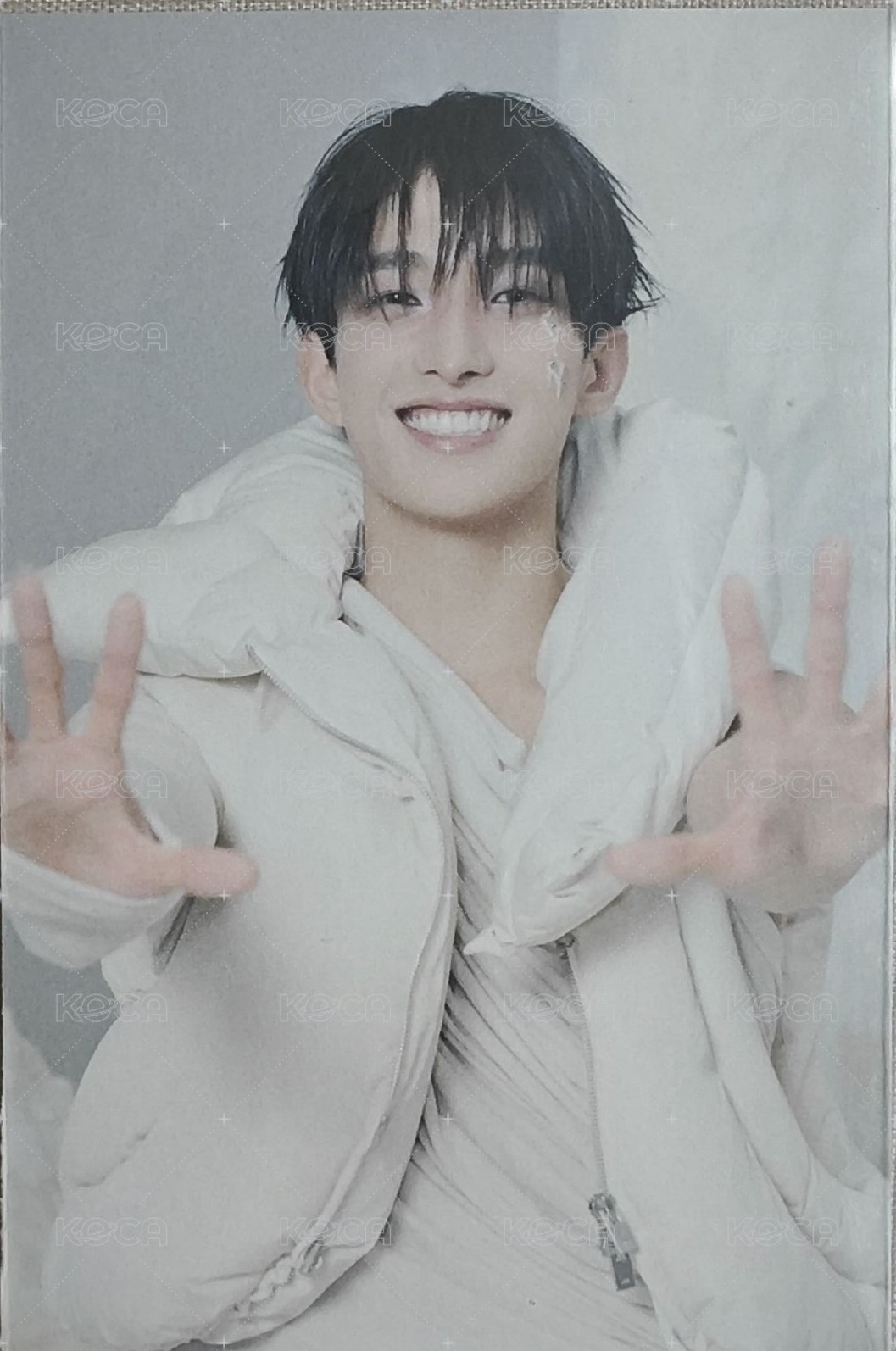 正五 日咖 正規五 風琴卡 特典卡  正面