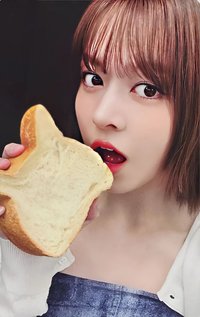 FORWARD ms 17.0 簽售卡 貓咪麵包