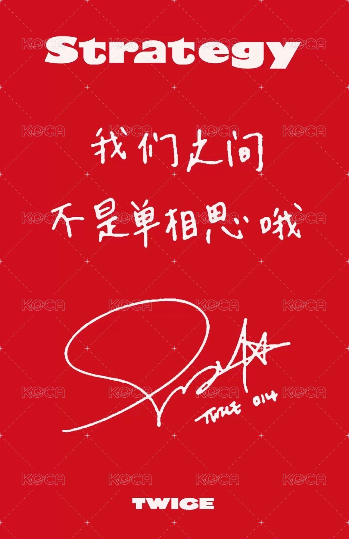 mini 14 sr 預售中文卡背 特典卡  背面