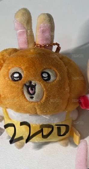 南瓜兔