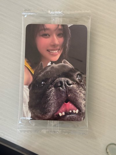 Rich man k4預售冬