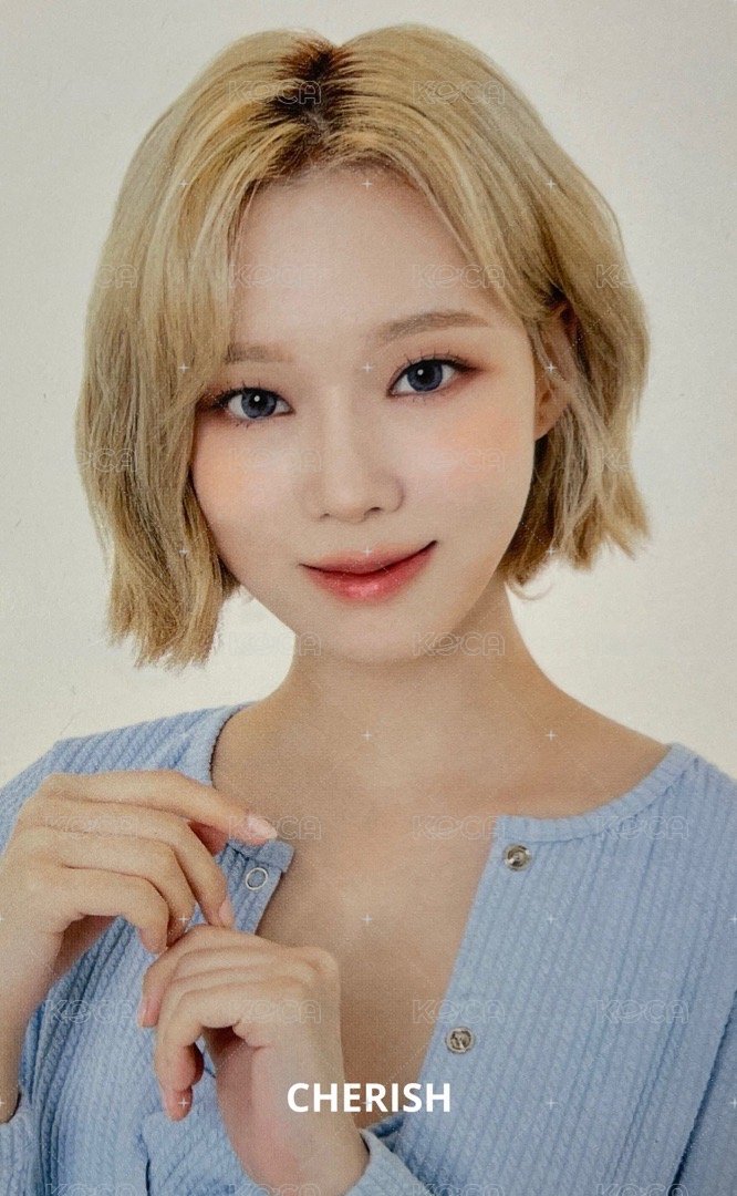 MY WORLD Lotte Duty Free 樂天 特典卡 樂天白底冬 正面