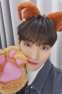 WILL ms 1.0 幸運卡 