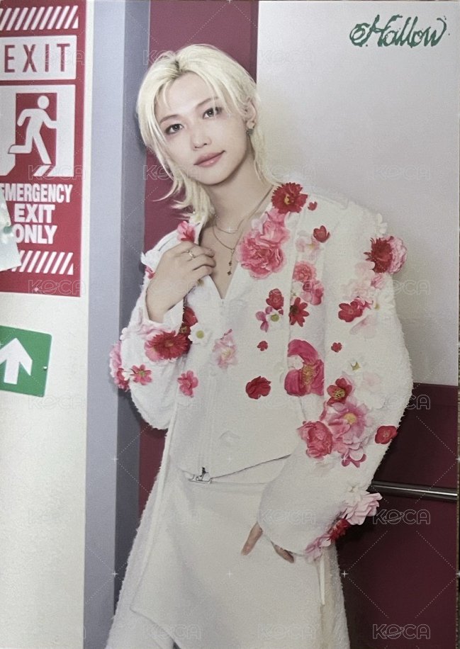 Hollow 隨機卡 大卡 正面