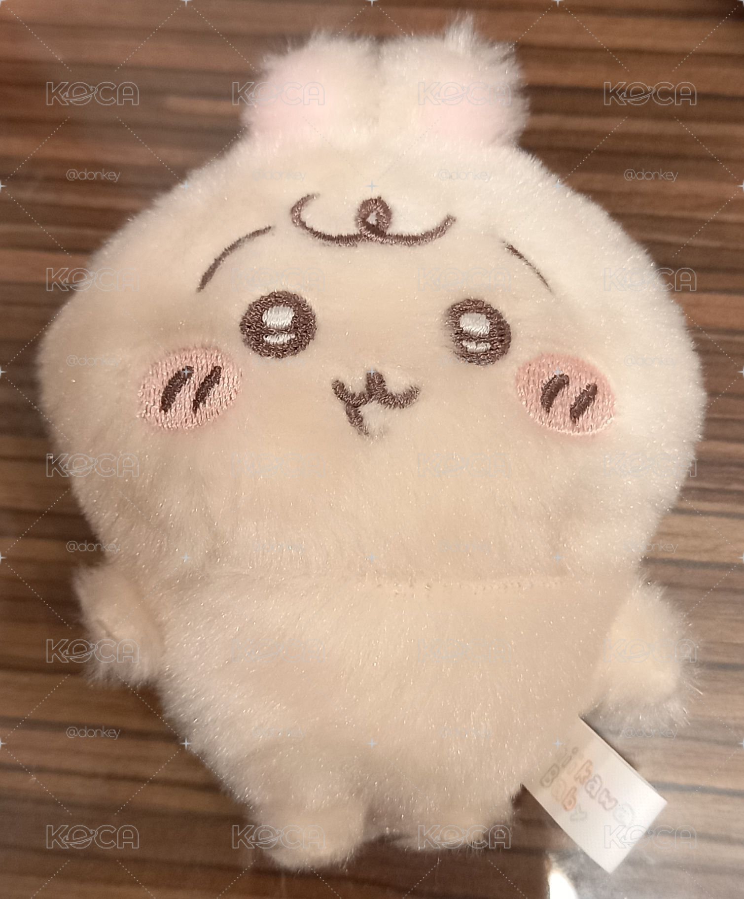 烏薩奇 高麗菜裡面那隻