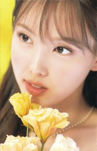 D’FESTA 迷你版 D社 周邊卡 