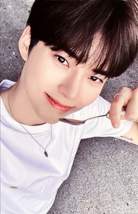 迷二 k4 特典卡 用餐禮儀 ver.