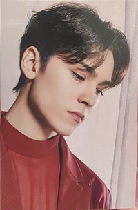 POL 周邊卡 行李箱卡