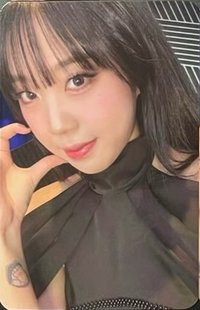 24’世巡 美巡VVIP 入場卡 / 場限卡 