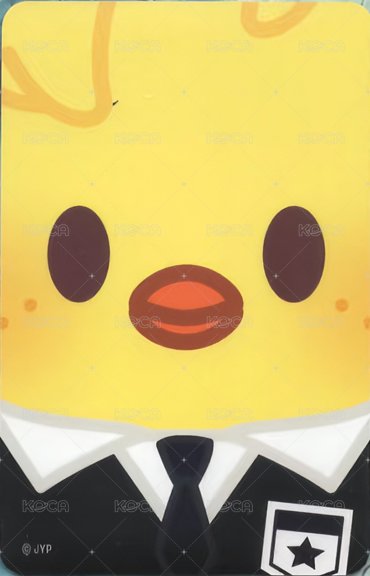 1st 日本巨蛋巡迴 周邊卡 卡套 背面