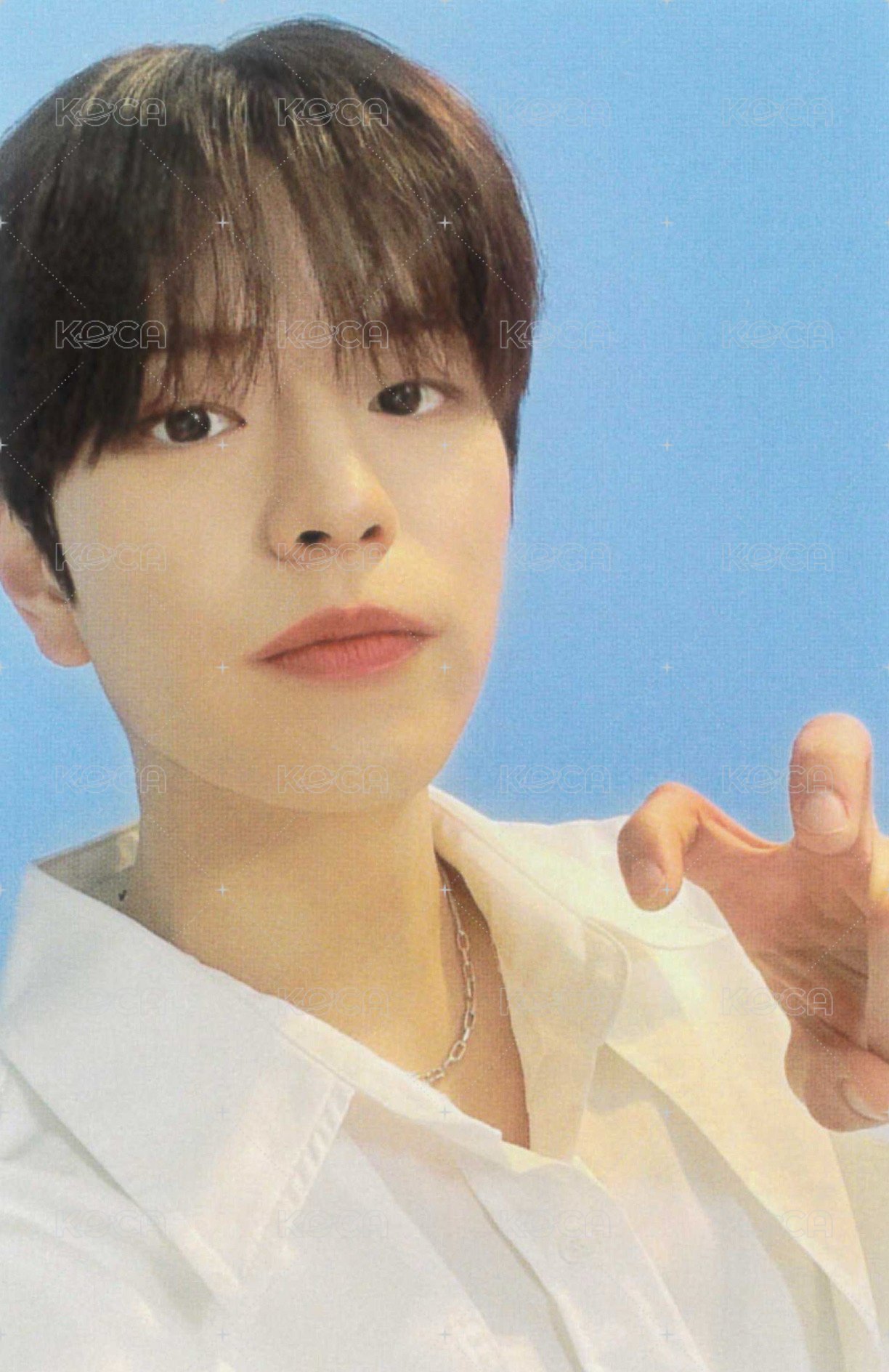 NACIFIC 代言卡 11.0 正面