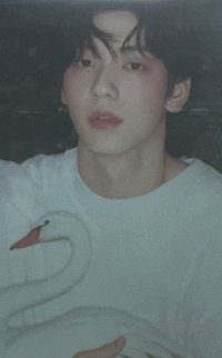 Starkissed 塔店 特典卡 