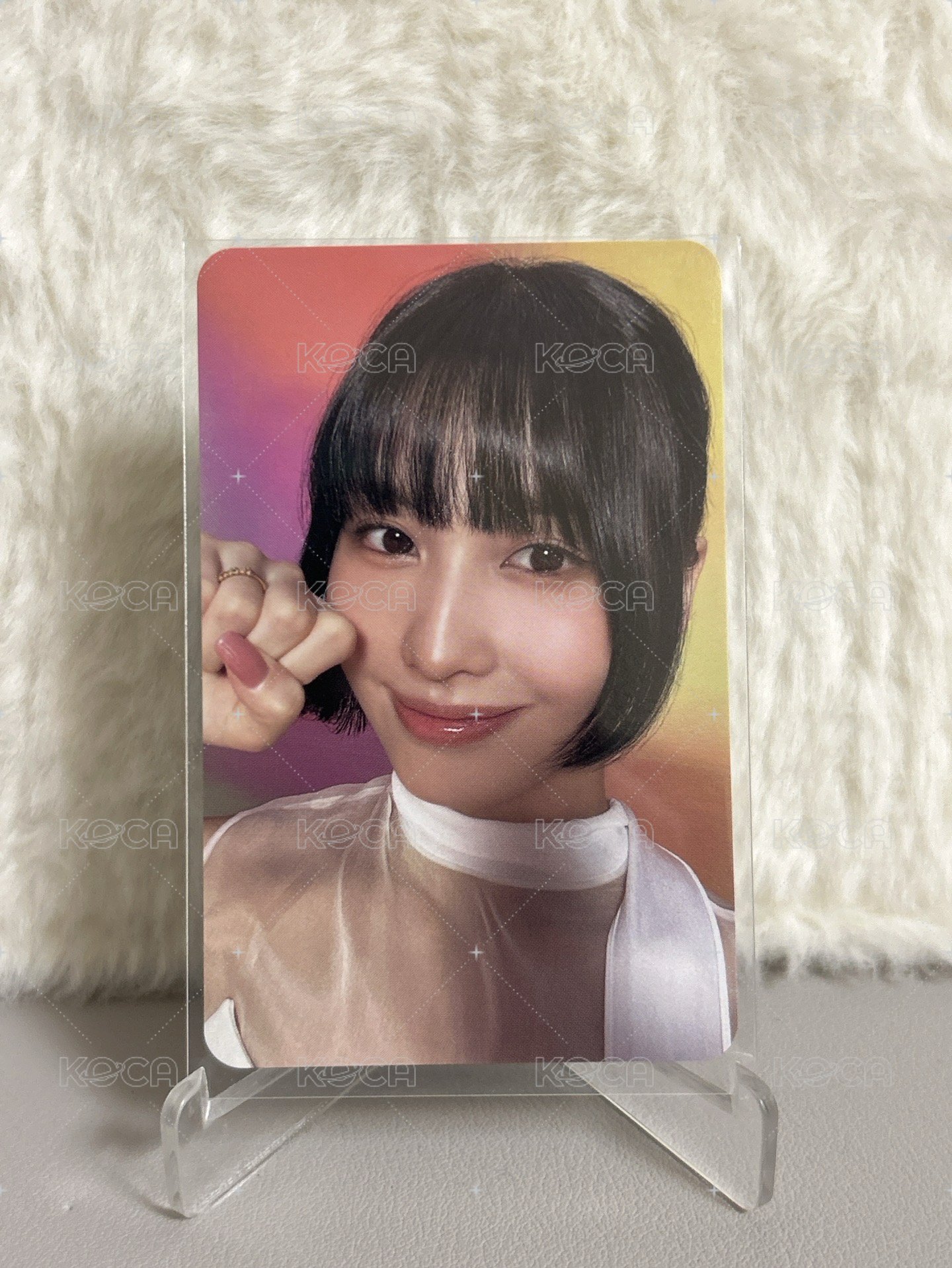 貓貓拳Momo