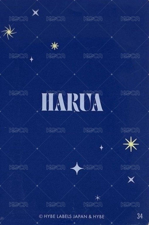 月波 隨機卡  背面