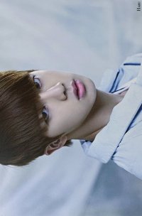 ARMYPEDIA 明信片 ORUL82