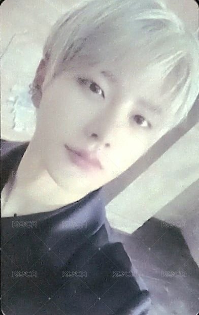 迷五 專輯卡  正面