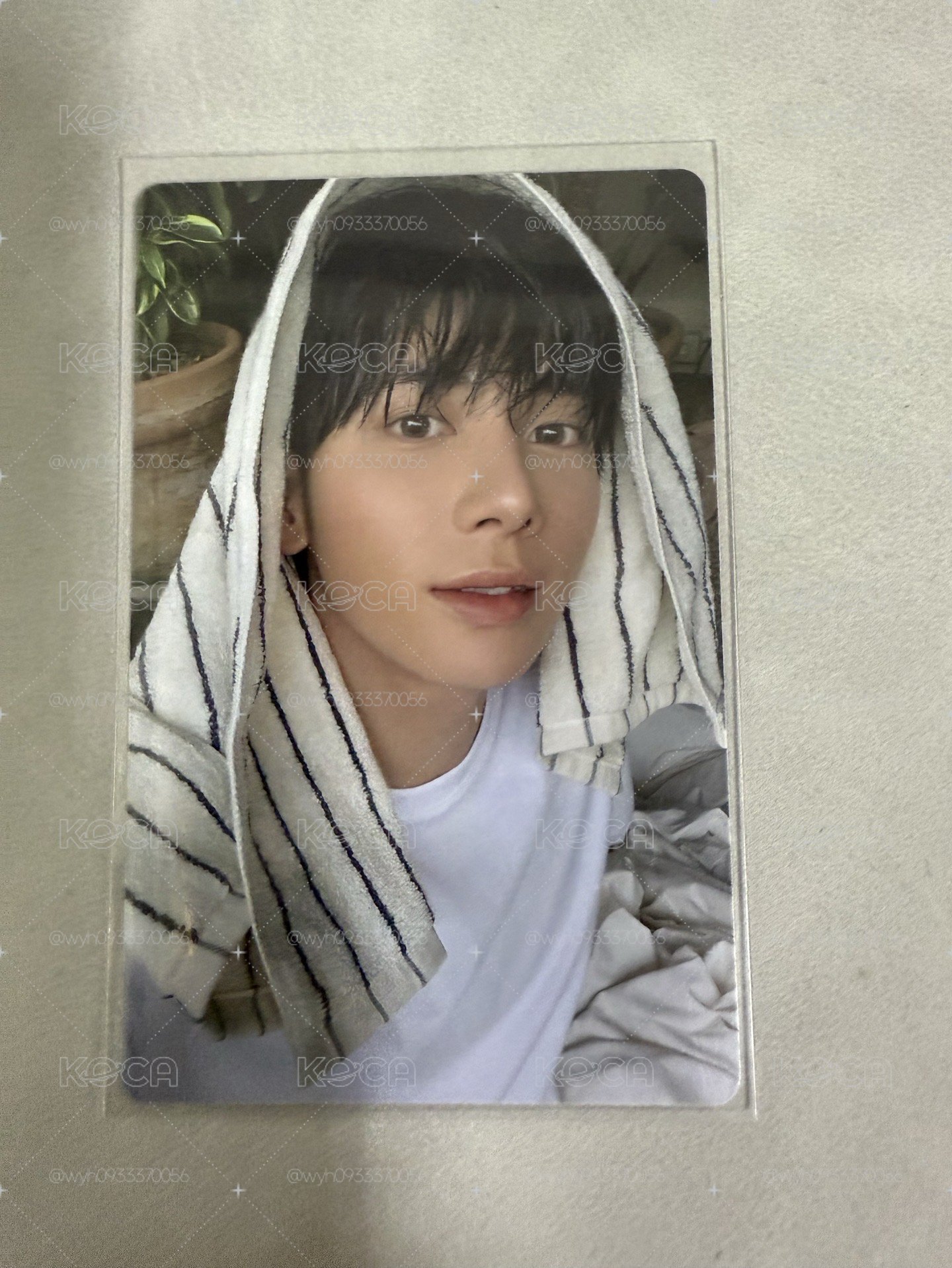 迷七 顯