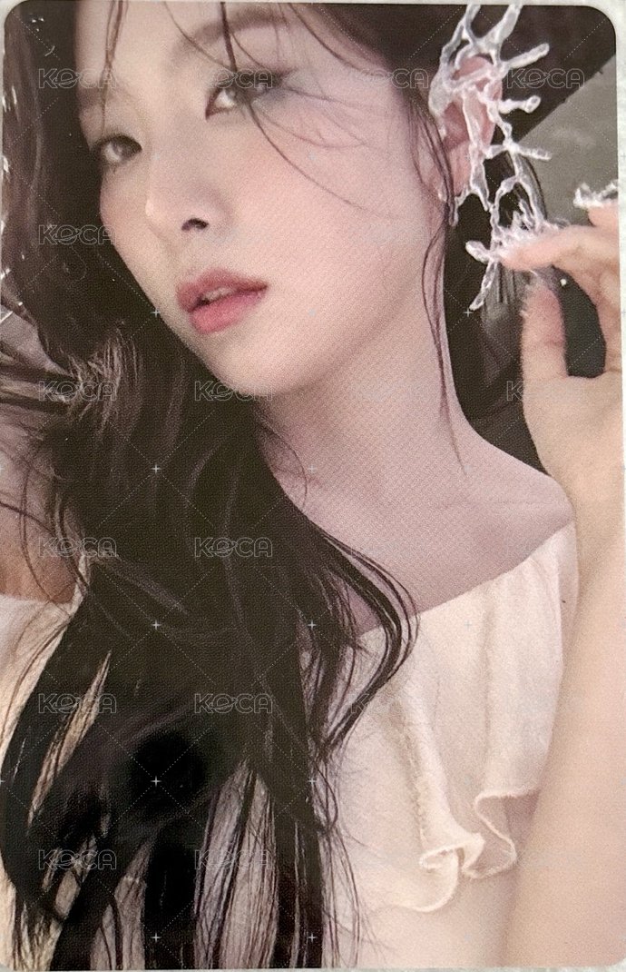 RedVelvet 2025 Season's Greetings sm 周邊卡 年曆後續卡包卡 正面