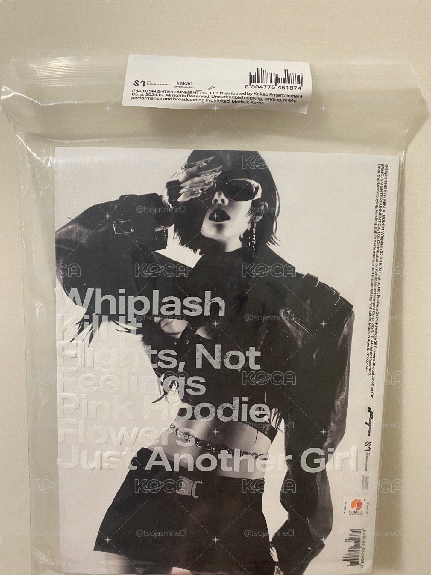 aespa whiplash BEAT版 柚冬團封未拆專