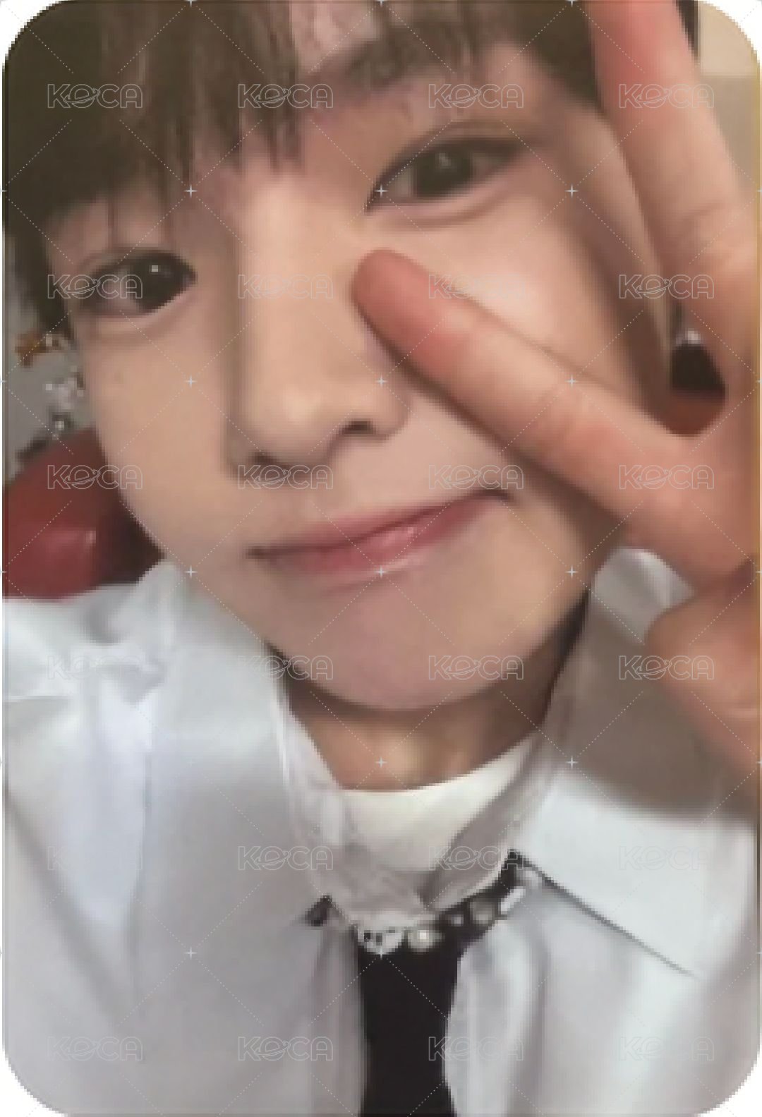 Steady 專輯卡 Nct Wish Sakuya  專卡 正面