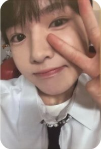 Steady 專輯卡 Nct Wish Sakuya  專卡