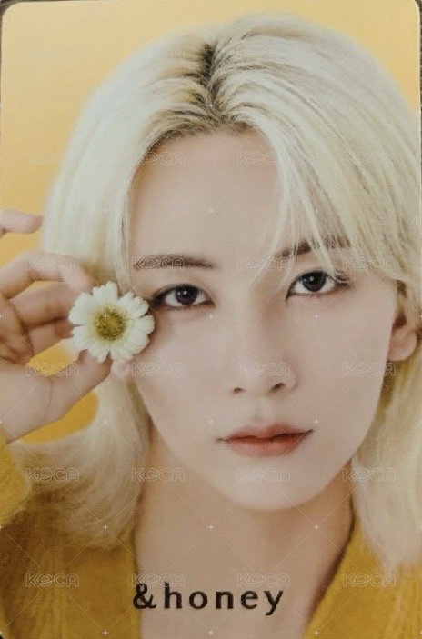 代言 代言卡 &honey 正面