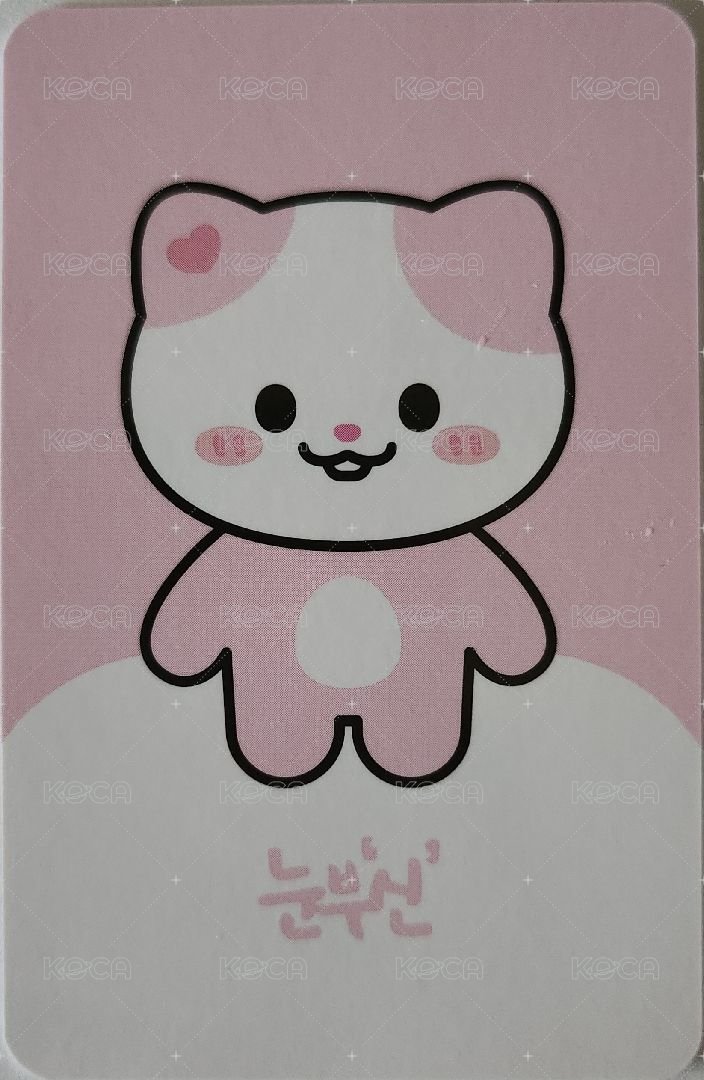 2024 FM 周邊卡 卡套卡 背面