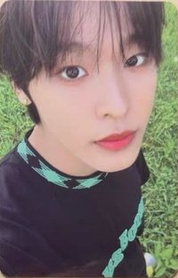 Steady 隨機卡 A版