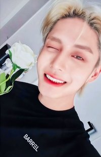 迷四 sr 3.0 特典卡 七夕玫瑰 ver.