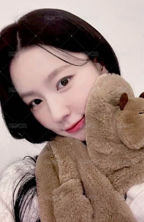 正規二 yzy 8.0 特典卡 卡皮巴拉 正面