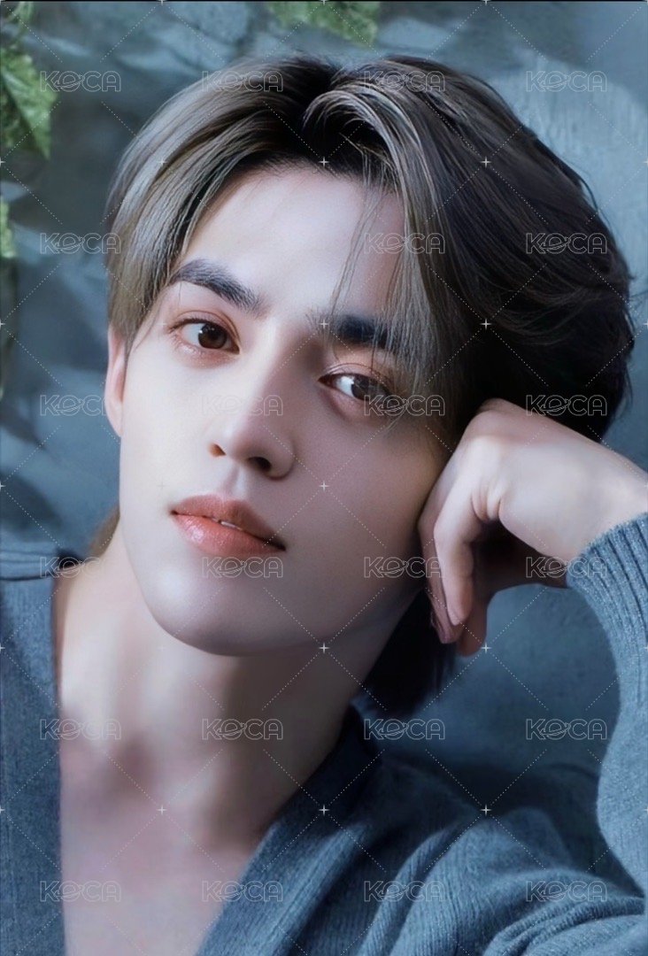 消費期限 wvs 特典卡 ｜特典 正面