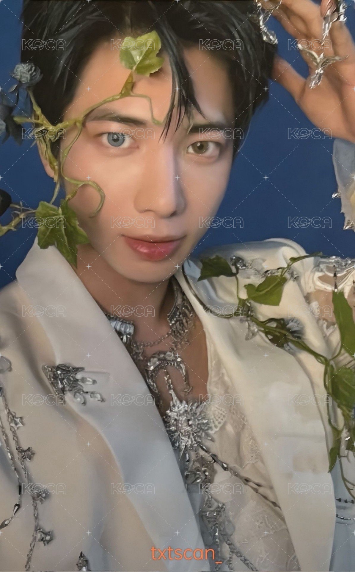 正四 日咖 特典卡 單封 正面