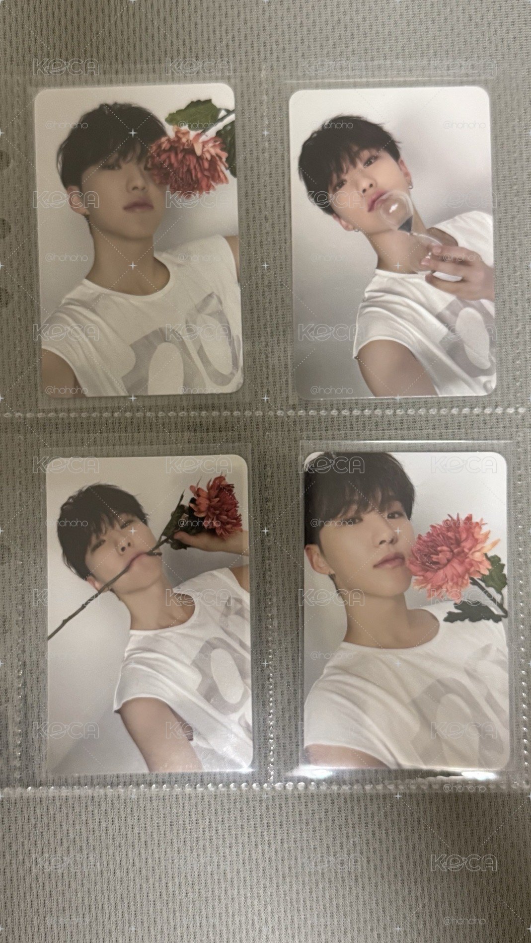 seventeen hoshi 克拉盤小卡