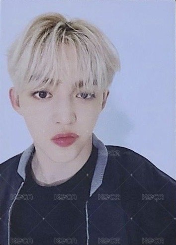 FOLLOW 集章卡  正面