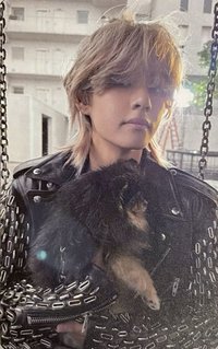 LAYOVER wvs 特典卡 