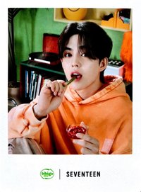 代言 代言卡 BIBIGO代言卡