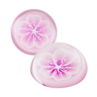 꽃갈피 셋 文具用品 Glass Paperweights