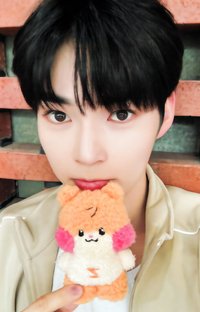 zeroni 周邊卡 盒娃卡