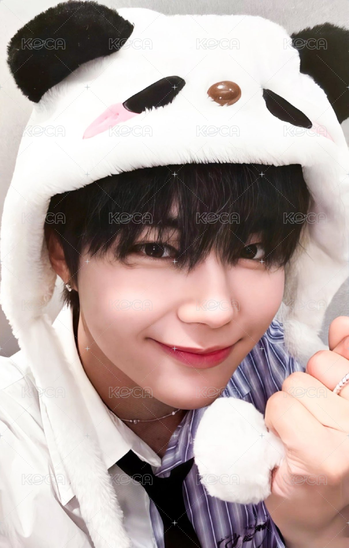 迷一 ms 2.0 特典卡 熊貓 ver. 正面